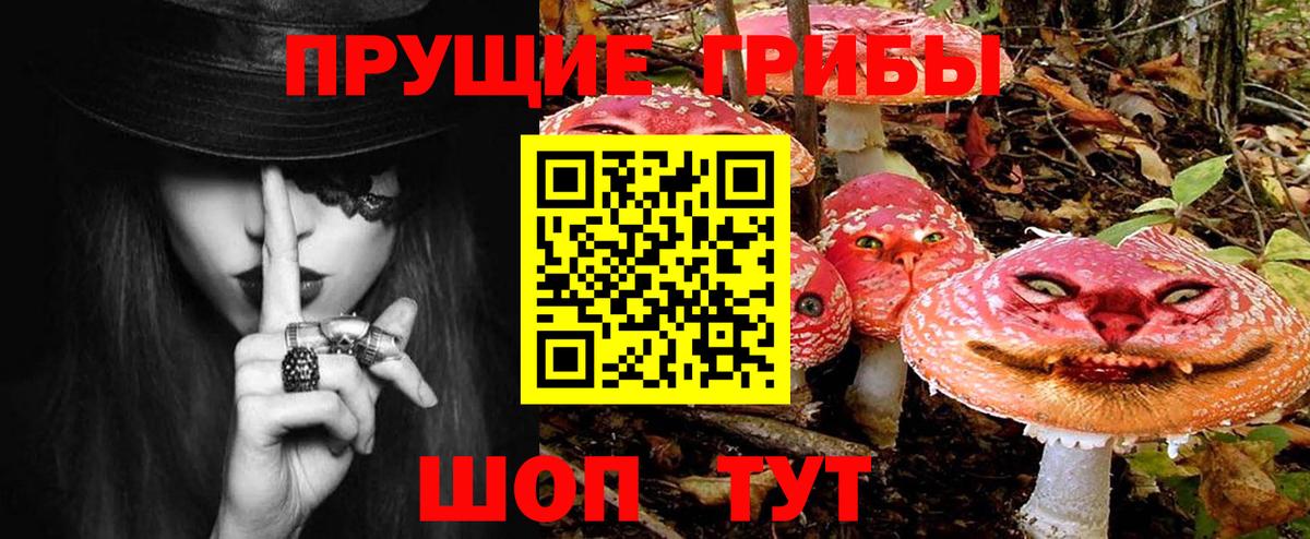 Псилоцибиновые грибы мицелий Заводоуковск
