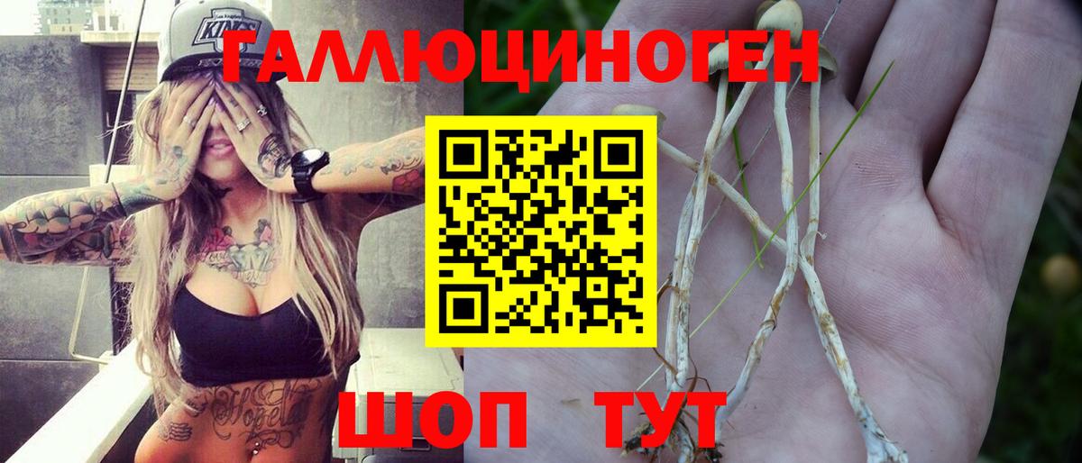 Заводоуковск  Псилоцибиновые грибы мухоморы  хочу наркоту  Вход с VPN 